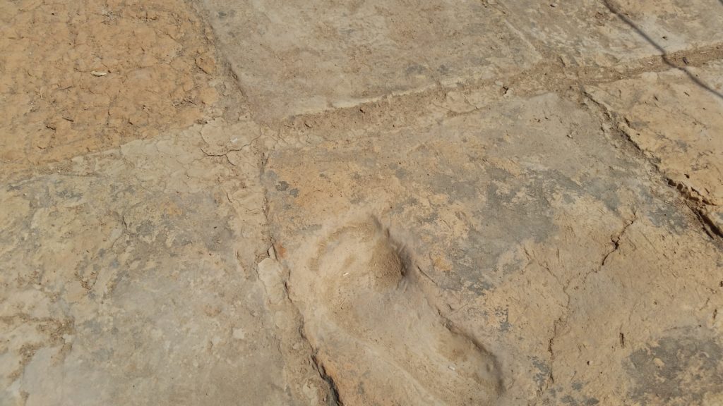 3200 year old footprint. Choqa Zanbil.